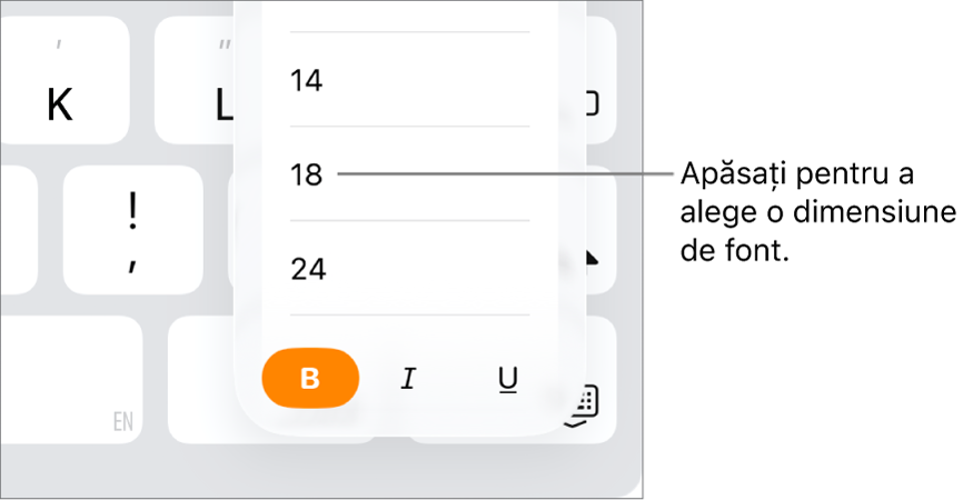 Butonul Dimensiune font aflat în partea dreaptă a tastaturii iPad, având deschis meniul de dimensiune a fontului. Dimensiunile de font standard ale guvernului Chinei continentale apar în partea de sus a meniului, având în partea de jos dimensiunile pentru punct.