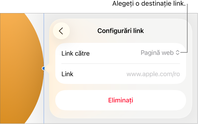 Comenzile Configurări link cu opțiunea Pagină web selectată și butonul Eliminați în partea de jos.