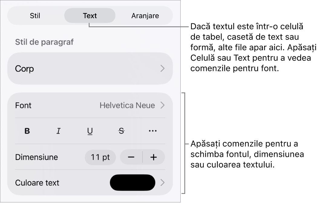 Comenzi text din meniul Format pentru configurarea paragrafelor și a stilurilor, fonturilor, dimensiunii și culorii caracterelor.