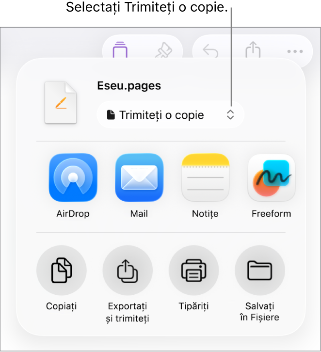 Meniul Partajează, cu opțiunea Trimite o copie selectată în partea de sus.