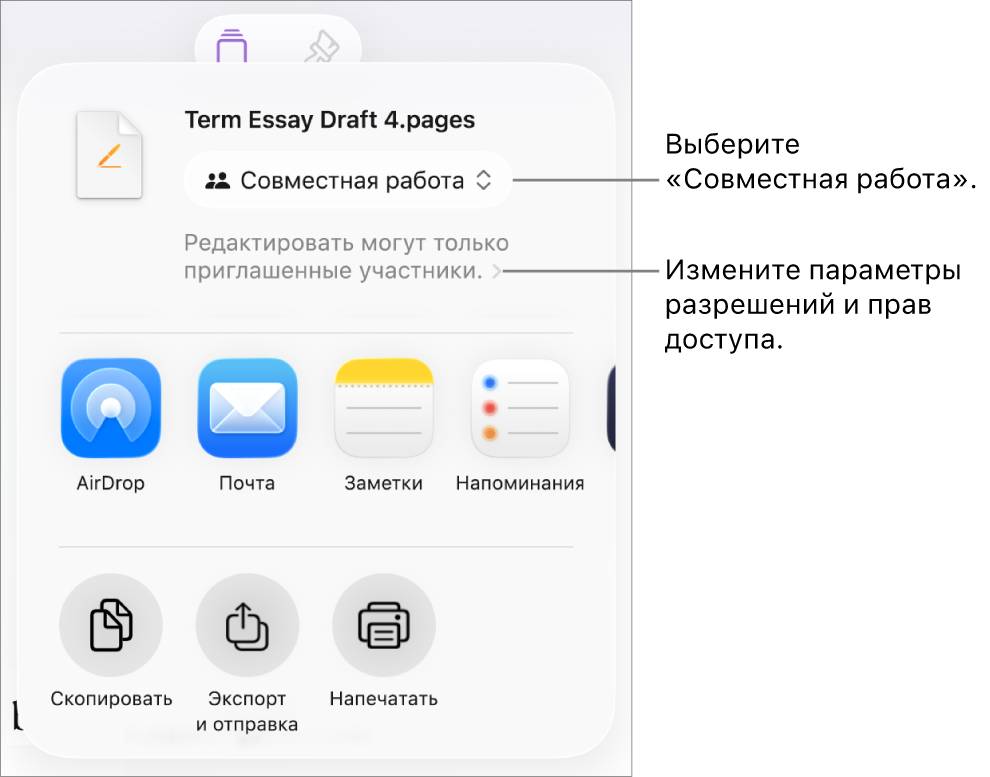 В верхней части экрана отображается меню «Поделиться». Выбран параметр «Совместная работа», под ним находятся настройки прав доступа.
