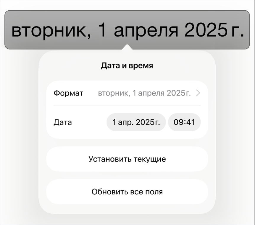 Элементы управления для параметра «Дата и время». Показано всплывающее меню форматирования даты; также показаны кнопки «Установить текущие» и «Обновить все поля».