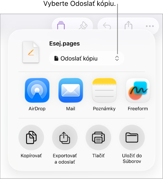 Menu Zdieľať s vybranou možnosťou Odoslať kópiu vo vrchnej časti.