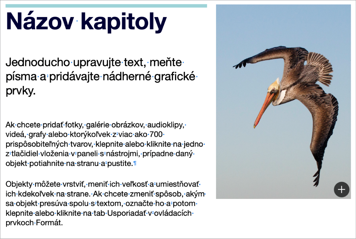 Text so zobrazením symbolov zlomu odseku a zlomu sekcie.