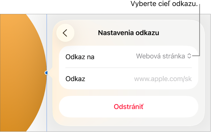 Ovládacie prvky nastavení odkazov s vybranou položkou Webová stránka a tlačidlom Odstrániť v dolnej časti.