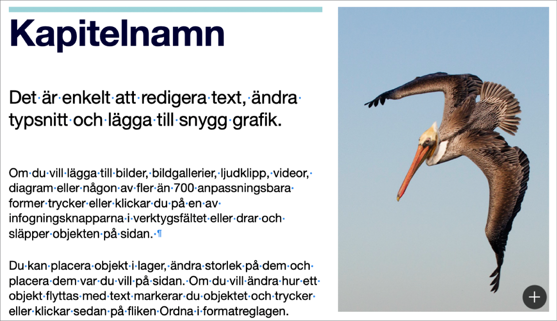 Text med symboler för en styckebrytning och en avsnittsbrytning.