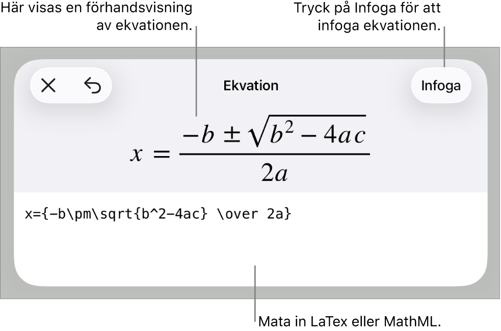 Dialogrutan Ekvation visar en ekvation som skrivits med MathML-kommandon och en förhandsvisning av formeln ovanför den.
