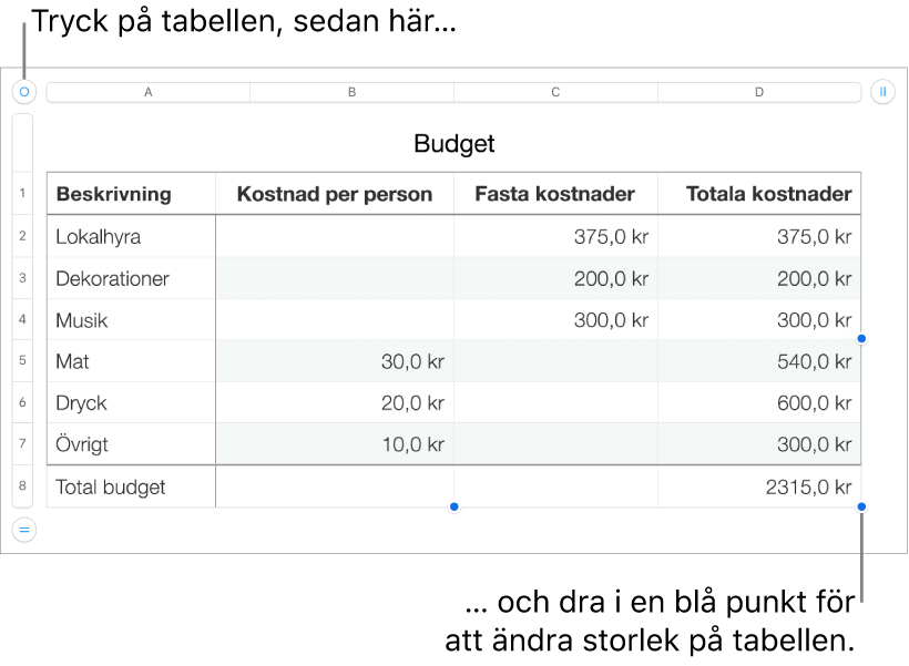 En markerad tabell med blå punkter som används till att ändra storleken.