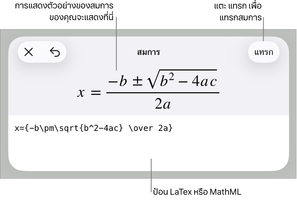 หน้าต่างโต้ตอบสมการ ที่แสดงสมการที่เขียนโดยใช้คำสั่ง MathML และการแสดงตัวอย่างของสูตรด้านบน