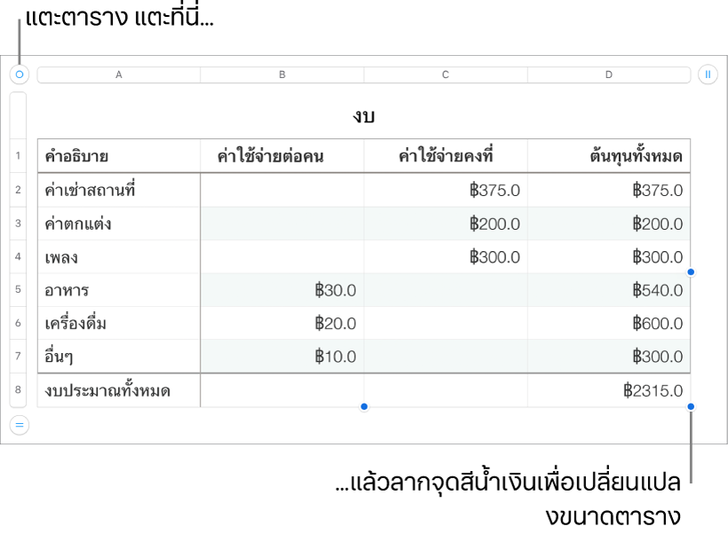 ตารางที่เลือกอยู่พร้อมจุดสีน้ำเงินสำหรับปรับขนาด