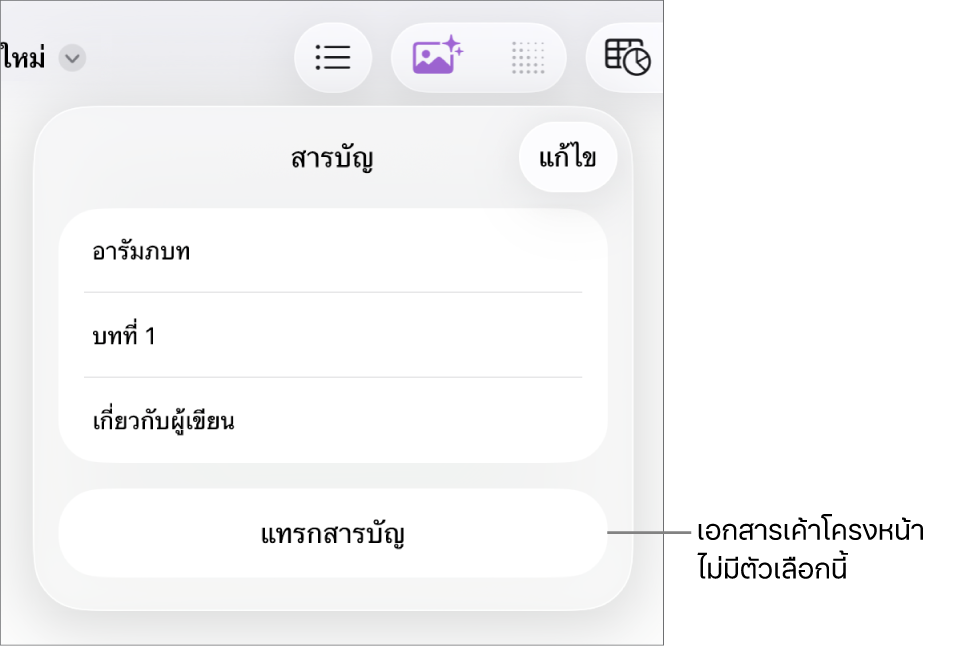 มุมมองสารบัญที่มี แก้ไข ที่มุมขวาบนสุด รายการสารบัญ และปุ่มแทรกสารบัญที่ด้านล่างสุด