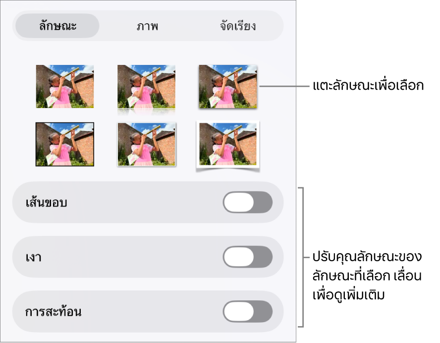 แถบลักษณะของเมนูรูปแบบที่มีลักษณะวัตถุอยู่ด้านบนสุดและตัวควบคุมสำหรับเปลี่ยนเส้นขอบ เงา การสะท้อน และความทึบ อยู่ด้านล่าง