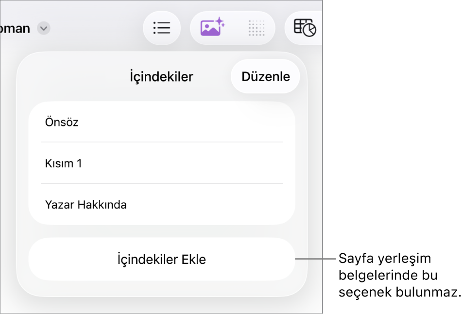 Sağ üst köşedeki Düzenle, içindekiler girişleri ve en altta da İçindekiler Ekle düğmesi ile içindekiler görüntüsü.