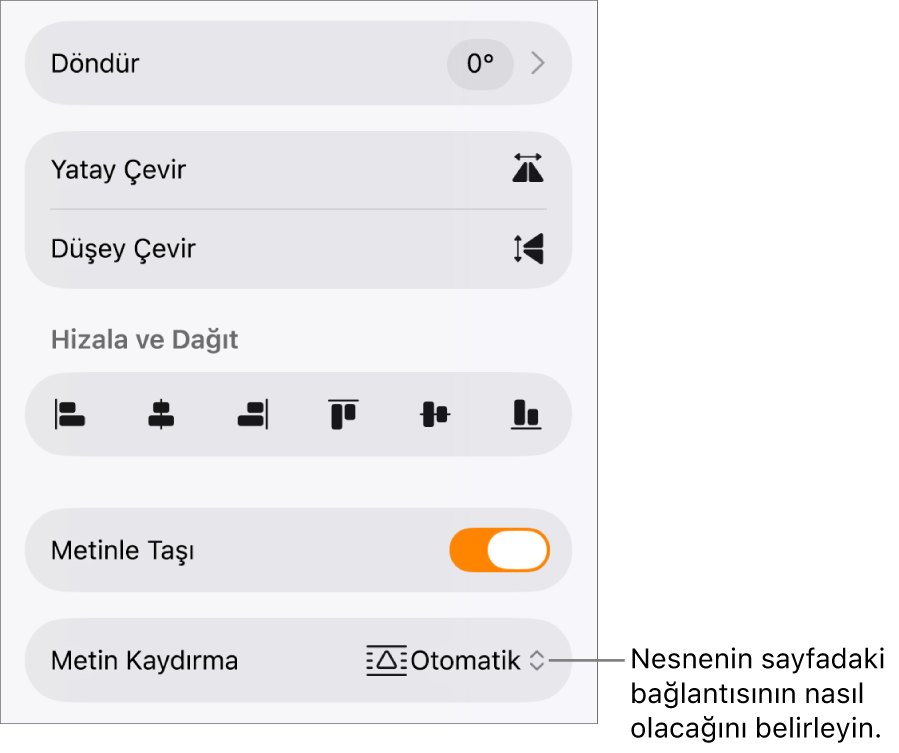Yerleştir sekmesi seçili ve En Arkaya/Öne Taşı, Metinle Taşı ve Metin Kaydırma denetimleri ile Biçim denetimleri.