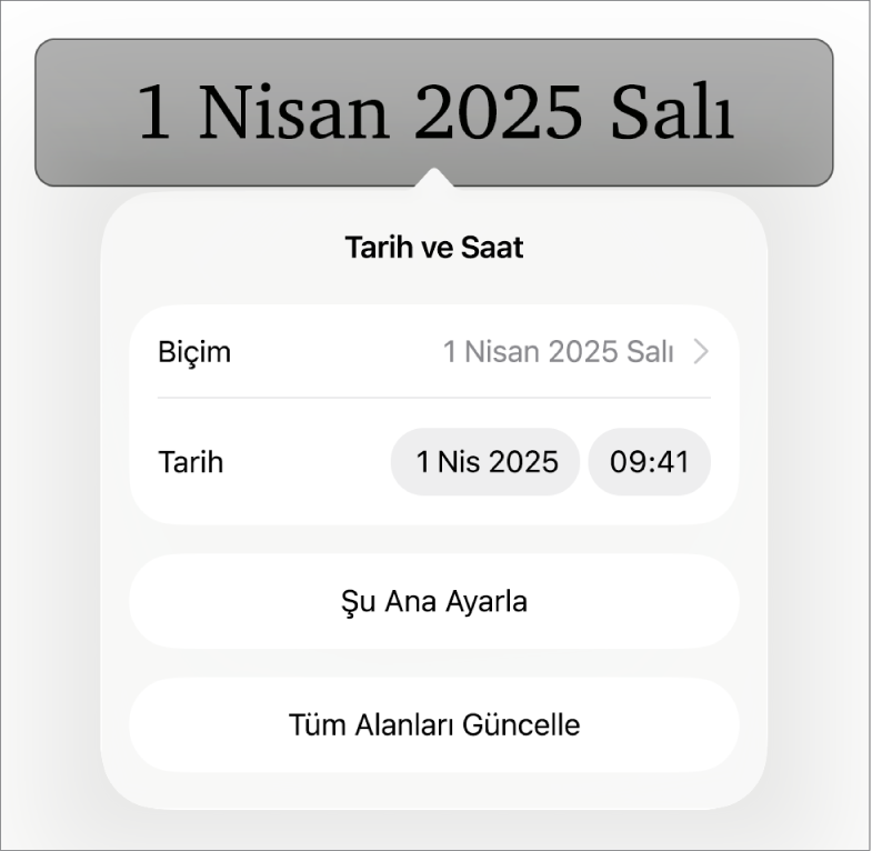 Tarih Biçimi açılır menüsünü, Şu Ana Ayarla ve Tüm Alanları Güncelle düğmelerini gösteren Tarih ve Saat denetimleri.