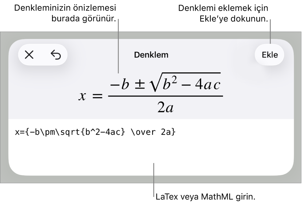 MathML komutları kullanılarak yazılmış bir denklemi ve onun üstünde formülün önizlemesini gösteren Denklem sorgu kutusu.