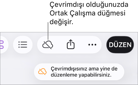 Ekrandaki bir uyarı “Çevrimdışısınız ama yine de düzenleyebilirsiniz” der.