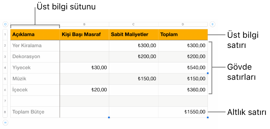 Üst bilgi, gövde ve dipnot satırlarını ve sütunlarını gösteren bir tablo.