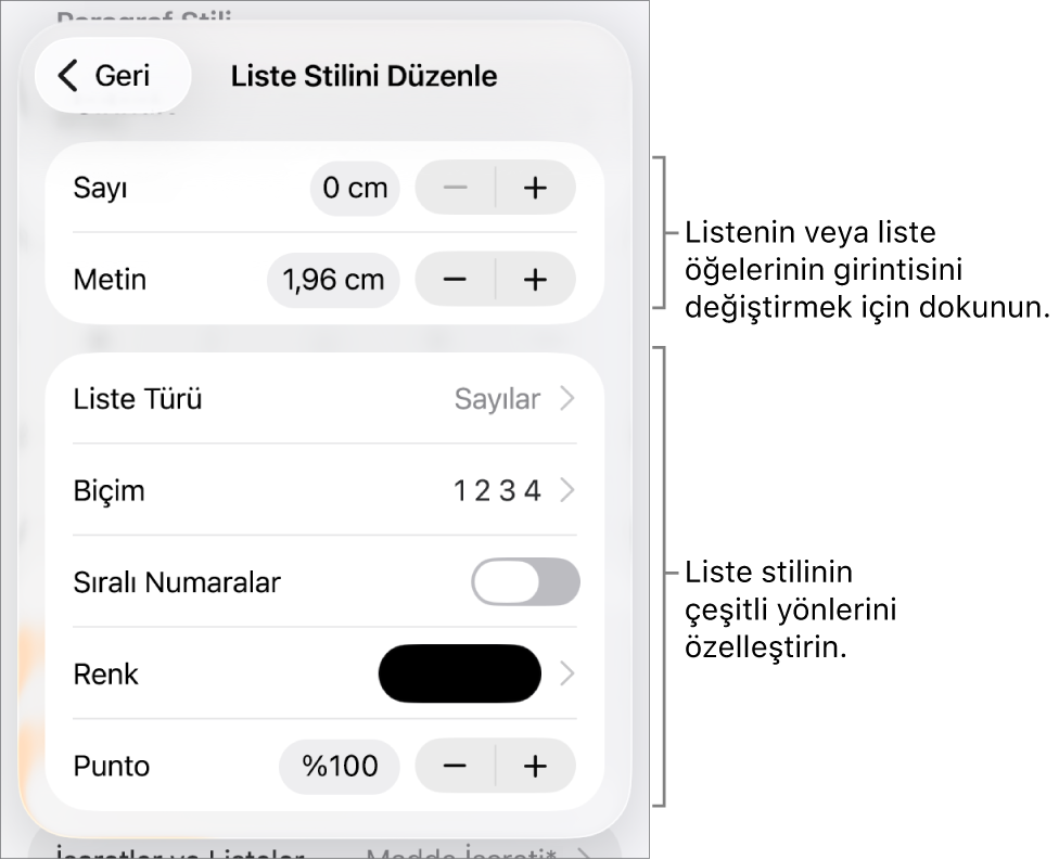 Girinti aralığı, liste türü ve biçimi, katmanlı sayılar, liste rengi ve büyüklüğü ve devamlı numaralandırma denetimleri ile Liste Stilini Düzenle menüsü.