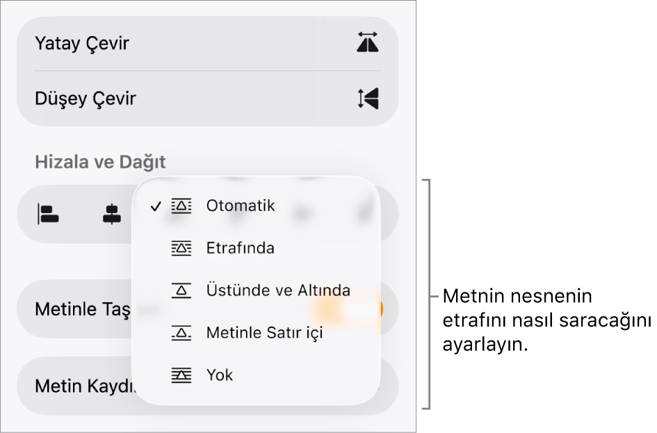 Biçim denetimleri, Yerleştir sekmesi seçili. Altında, Arkaya/Öne Taşı, Metinle Taşı ve Metin Kaydırma’yı içeren Metin Kaydırma denetimleri bulunur.