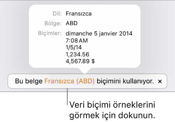 O dil ve bölgede kullanılan biçimlendirme örneklerini gösteren, farklı dil ve bölge ayarı bildirimi.