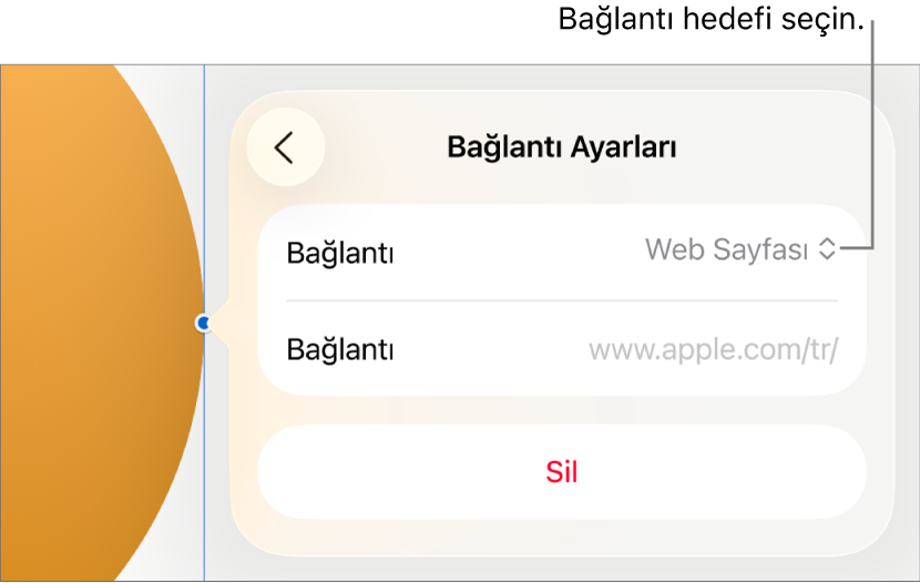 Bağlantı Ayarları denetimlerinde Web Sayfası seçili, en altta ise Sil düğmesi bulunuyor.