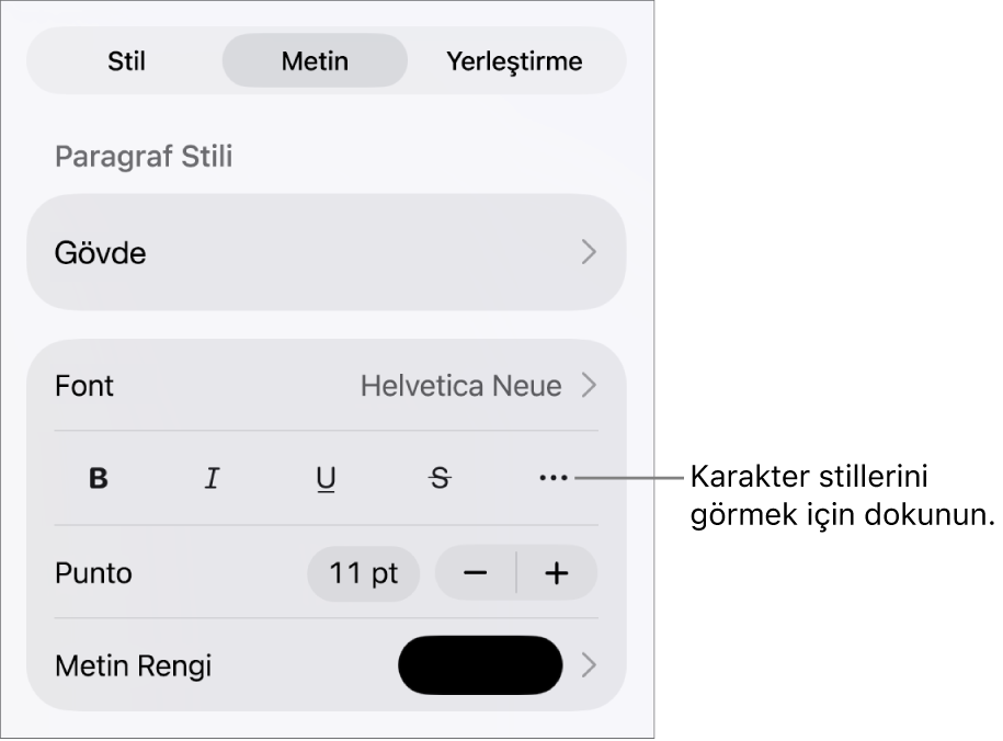 En üstteki paragraf stilleri ile Biçim denetimleri, ardından Font denetimleri. Font’un altında Kalın, İtalik, Altı Çizgili, Üstü Çizgili ve Daha Fazla Metin Seçeneği düğmeleri bulunur.