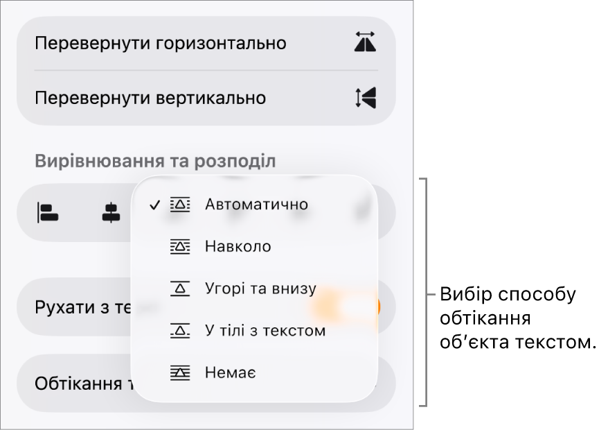 Елементи керування «Формат» і вибрана вкладка «Розміщення». Нижче знаходяться елементи керування обтіканням з опціями «Перемістити наперед/назад», «Перемістити з текстом» та «Обтікання текстом»