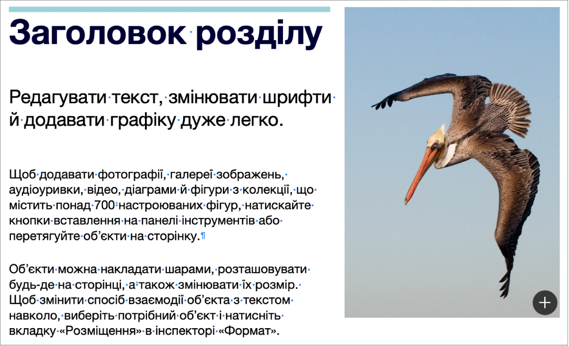 Текст із символами розриву абзацу та розриву розділу.