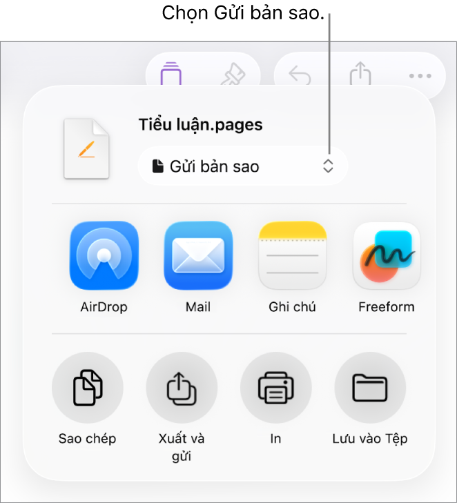 Menu Chia sẻ với Gửi bản sao được chọn ở trên cùng.