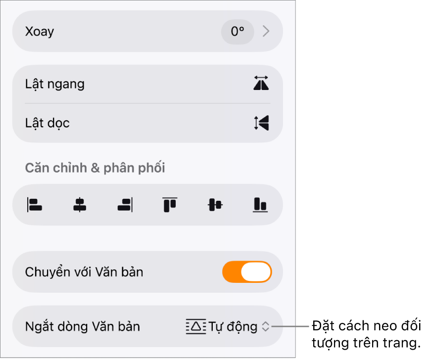Các điều khiển Định dạng với tab Sắp xếp được chọn và các điều khiển cho Chuyển ra trước/sau, Chuyển với văn bản và Ngắt dòng văn bản.