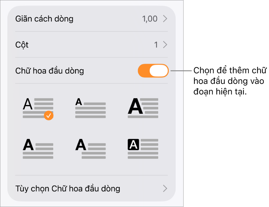 Các điều khiển Chữ hoa đầu dòng nằm trong menu Văn bản.