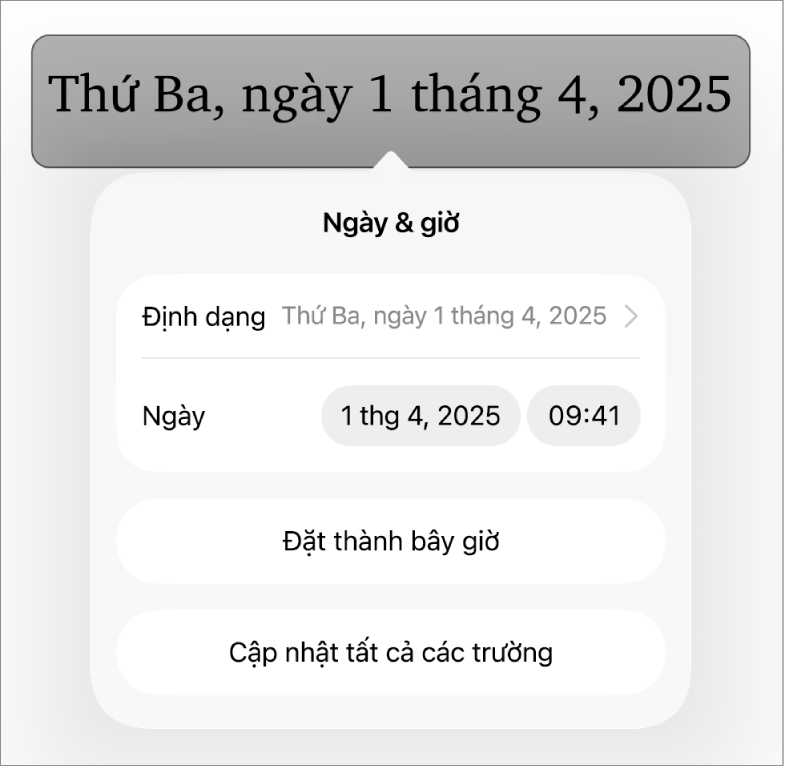 Điều khiển Ngày & Giờ hiển thị menu bật lên cho định dạng ngày cũng như các nút Đặt thành bây giờ và Cập nhật tất cả các trường.