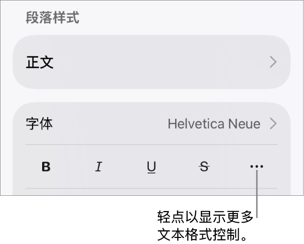 “格式”控制的“文本”标签,其中标注框指向“更多文本选项”按钮。
