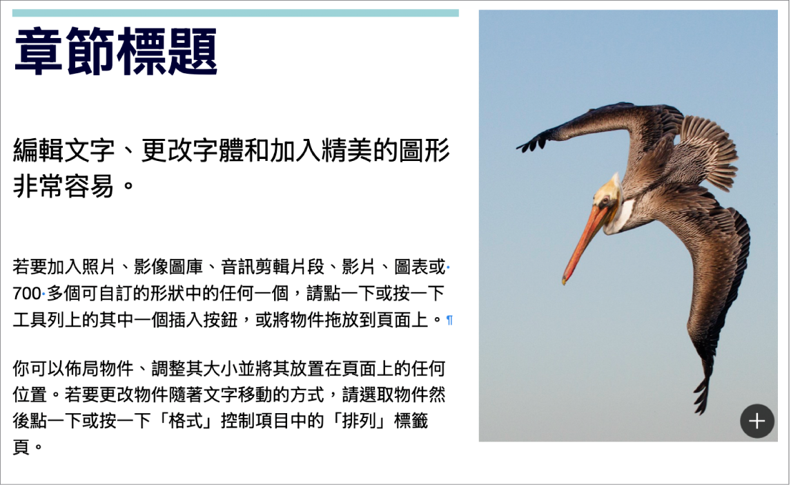文字,其中顯示分段標記和章節標記的符號。