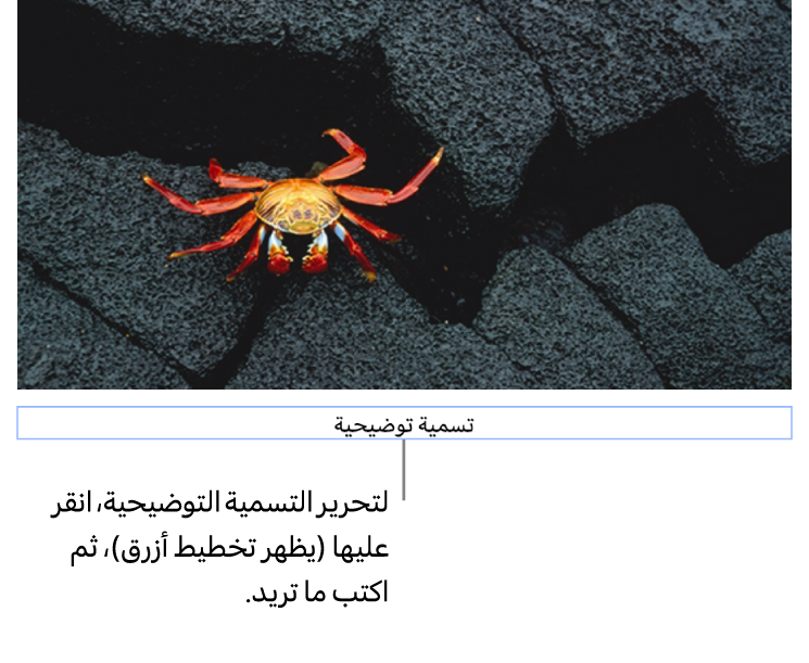 تظهر التسمية التوضيحية للعنصر النائب، "التسمية التوضيحية"، أسفل صورة؛ يوضح تخطيط أزرق حول حقل التسمية التوضيحية أنه محدد.