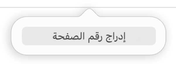 زر "إدراج رقم الصفحة" أسفل الرأس.