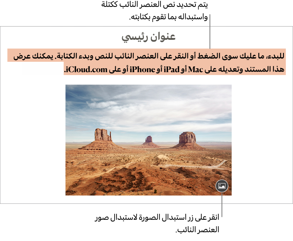 نصوص وصور العناصر النائبة.