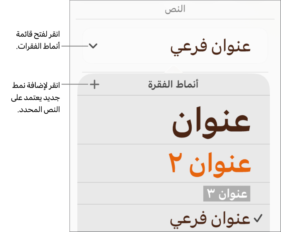 قائمة أنماط الفقرة، تظهر بها عناصر تحكم لإضافة نمط أو تغييره.