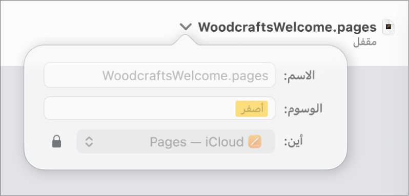 قائمة منبثقة لقفل أو فتح قفل مستند.