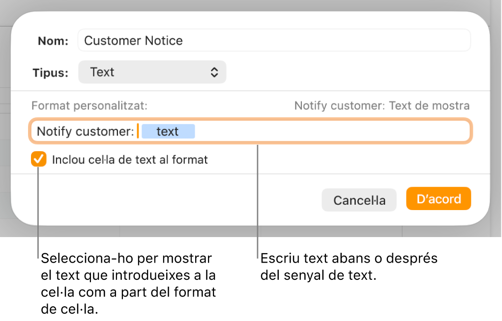 La finestra de format de cel·la personalitzat, amb controls per seleccionar el format de text personalitzat.