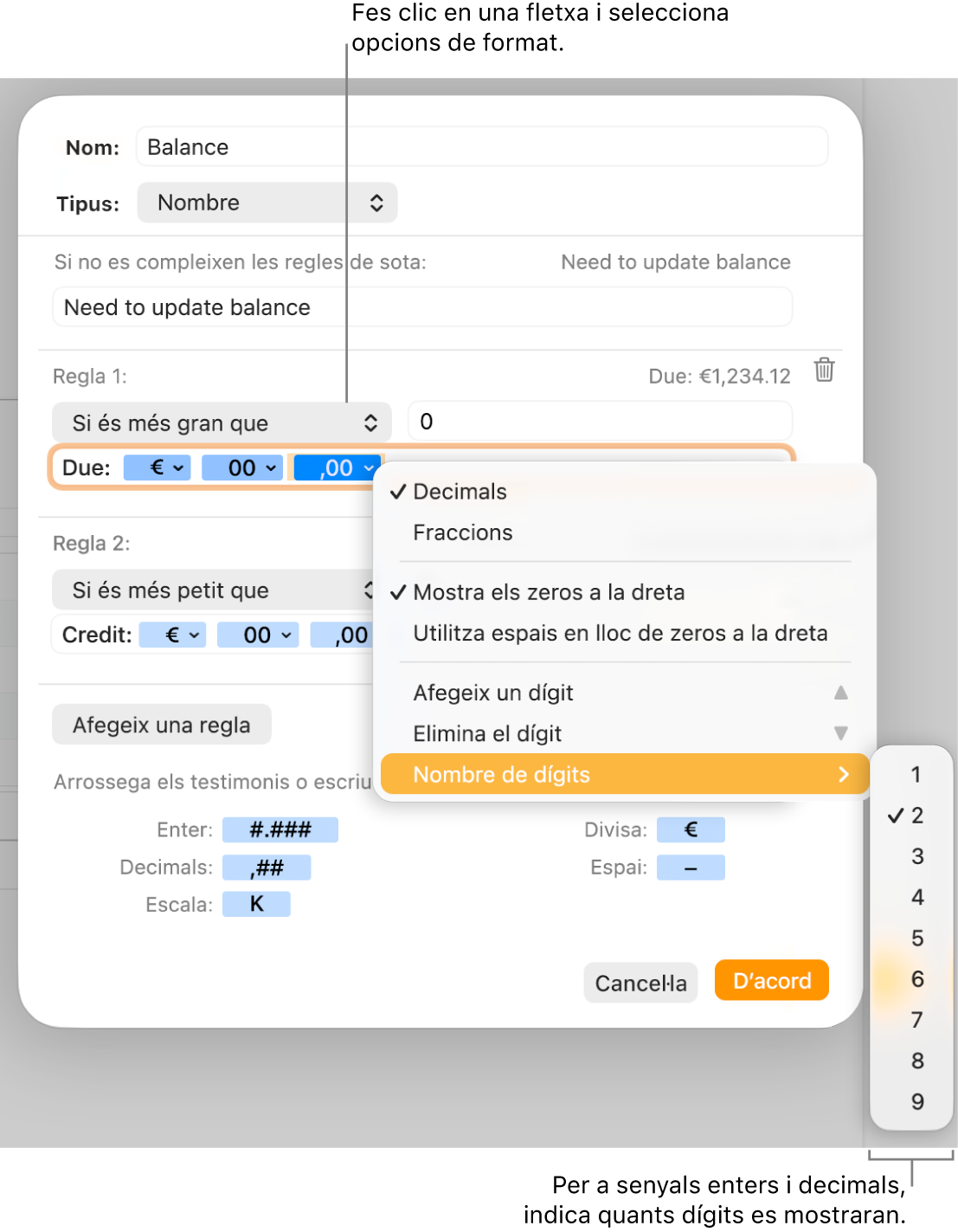 La finestra de format de cel·la personalitzat, amb controls per seleccionar les opcions de format personalitzat.