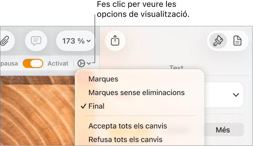 El menú d’opcions de revisió, que mostra les opcions Marques, “Marques sense eliminacions” i Final.