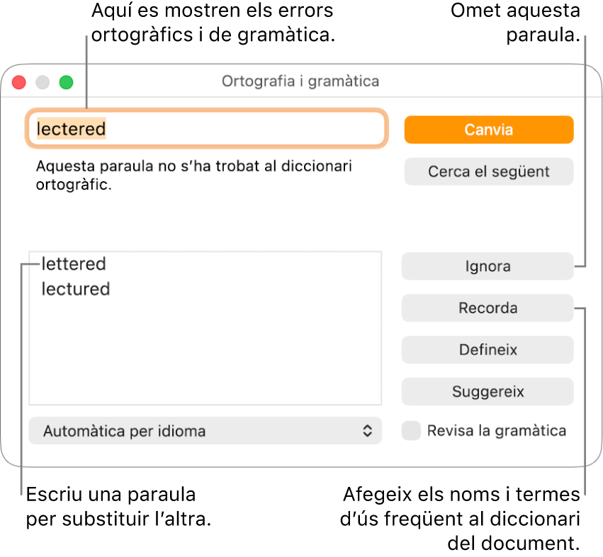 La finestra “Ortografia i gramàtica”.
