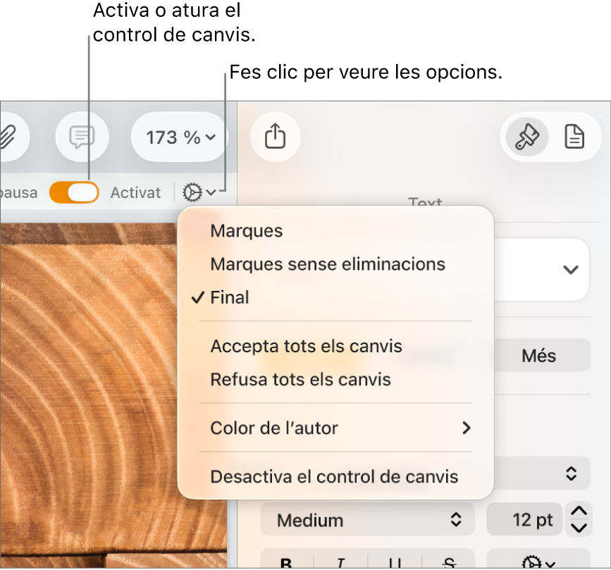 El menú d’opcions del control de canvis, que mostra l’opció “Desactiva el control de canvis” a la part inferior i les llegendes de l’opció “Control de canvis activat” i del botó “En pausa”.