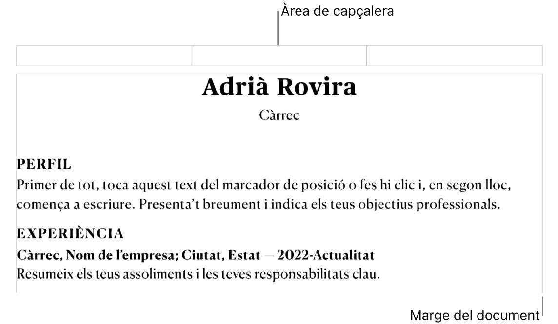 Vista de disposició amb la zona de capçalera i els marges del document.