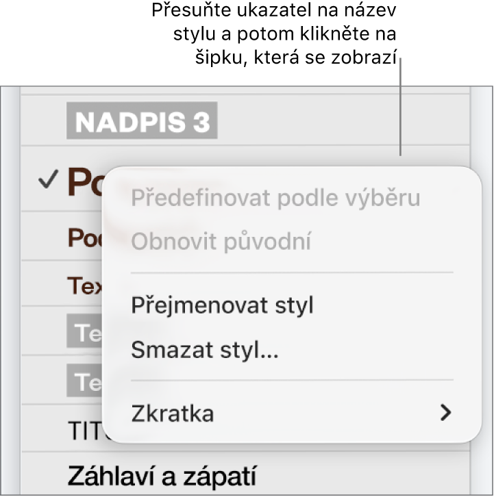 Nabídka Styly odstavců s otevřenou nabídkou zkratek.