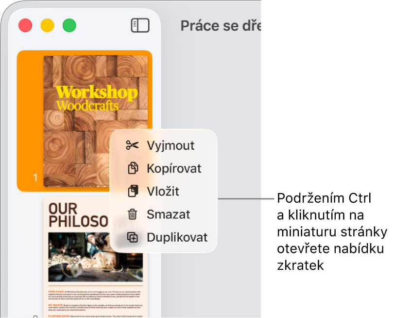 Panel s miniaturami stránek s jednou vybranou miniaturou a s otevřenou místní nabídkou