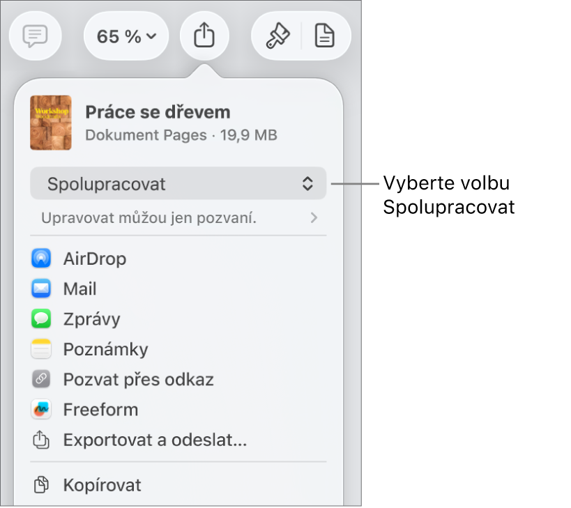 Nabídka sdílení, v níž je nahoře vidět vybraná volba Spolupracovat a pod ní volby pro nastavení přístupu a oprávnění