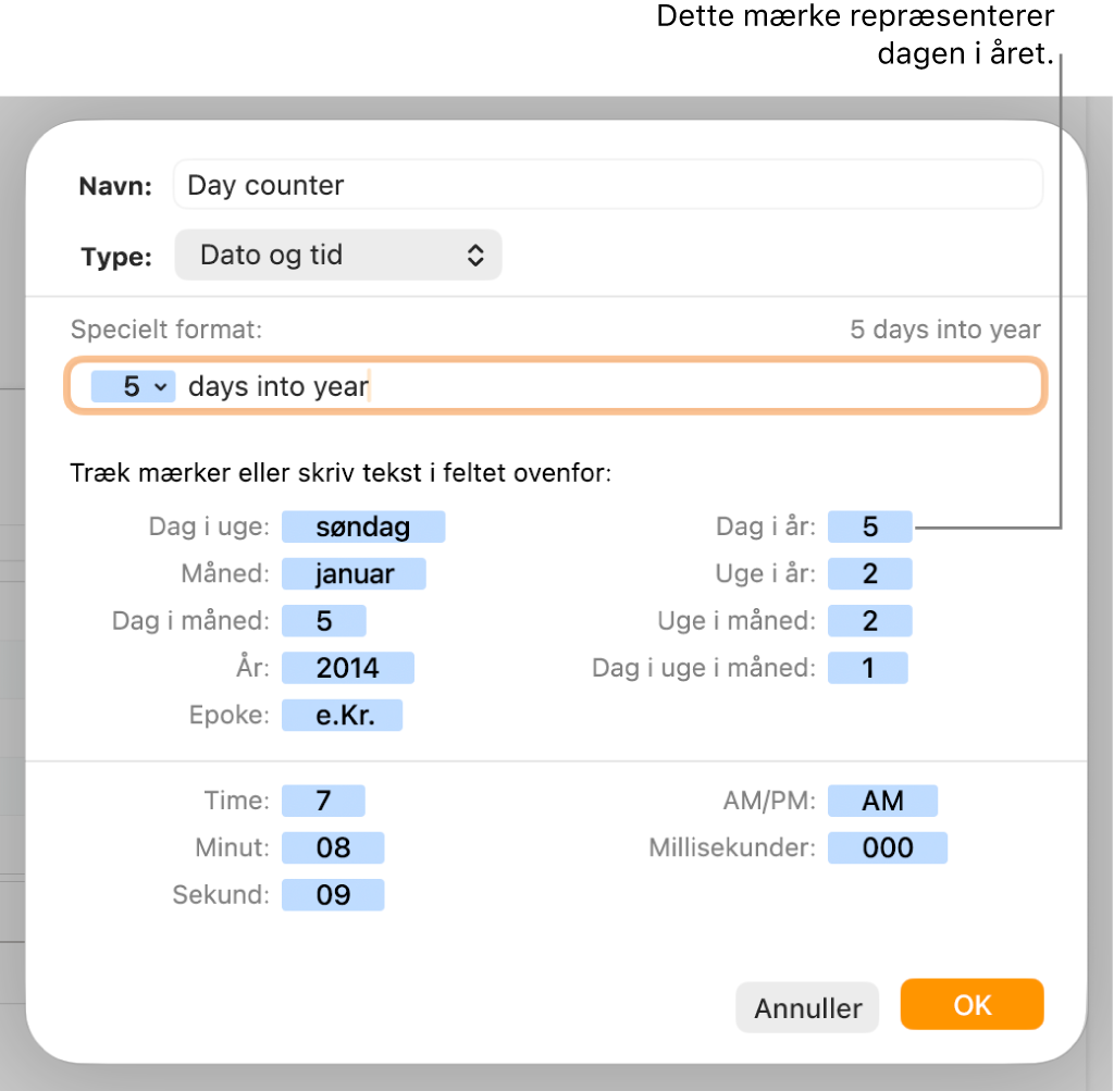 Vinduet til specielle celleformater med betjeningsmuligheder til valg af speciel formatering af dato og tid.